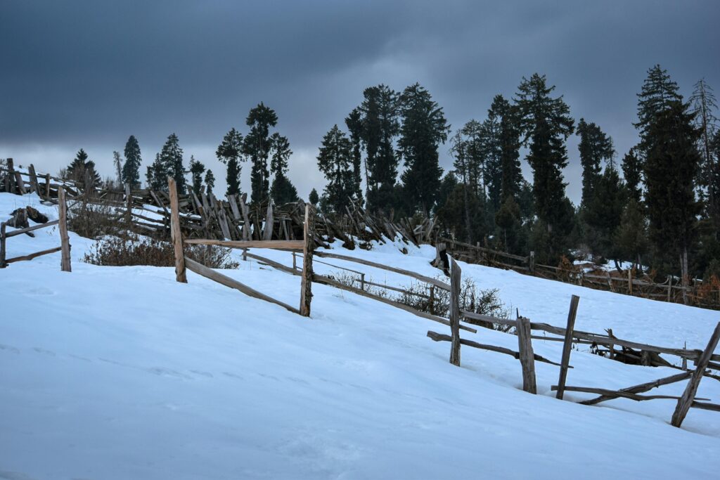pexels-photo-31343348-31343348 Beautiful winter scene with snow-covered land and trees in Gulmarg.