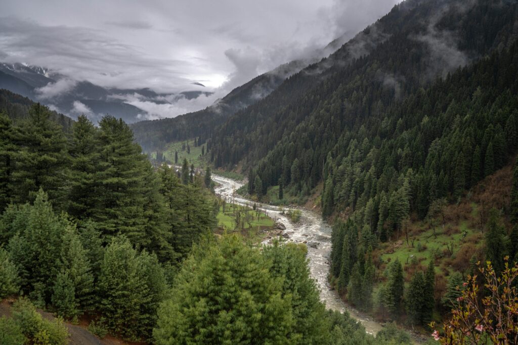 pexels-photo-7562495-7562495 pahalgam